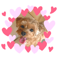 erin_20191129010928