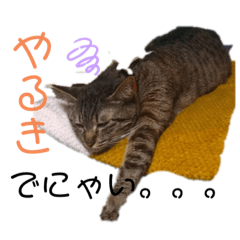 SAORI_20191128221200