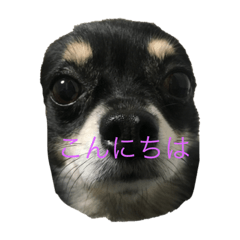 Mizuki_20191129091625