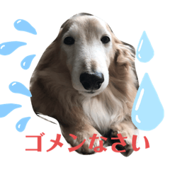 michiko_20191129094833