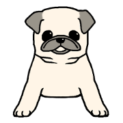 Kurukuru Pug