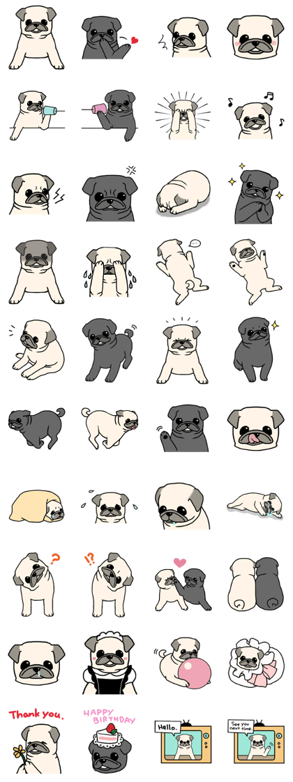 Kurukuru Pug