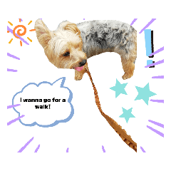 Bibi Doggo