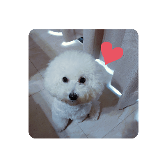 什麼事阿比妹妹
