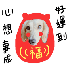 我是可愛的豆豆 鼠年快樂