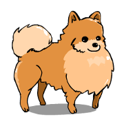 Pomeranian GON