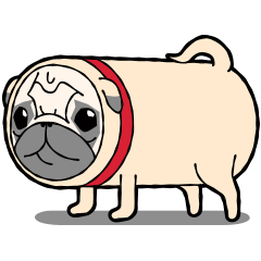 パグのゆめちゃん