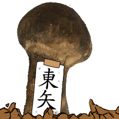 松茸研究家東矢さんのマツタケ