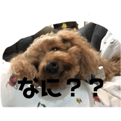 chiro_20191129150228