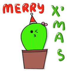 My plants : Christmas & New Year