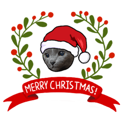 猫ルキーの家族 のクリスマス(冬)