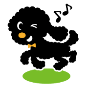 A lovely toy poodle(Black)