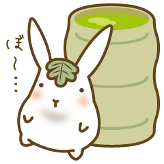 refreshments rabbit