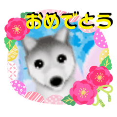 わんランド11