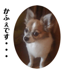 Kurumi_20191130043919