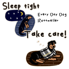 Every Day Dog Rottweiler2