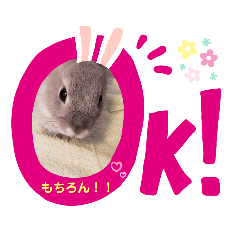 HANA_20191130041106