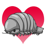 Giant Isopod