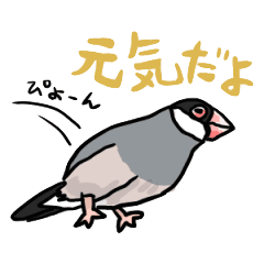 桜文鳥チャッピー Line スタンプ Line Store 桜文鳥チャッピー Line スタンプ Line Store