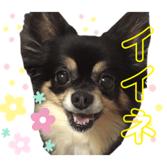 omochi_20191129193953