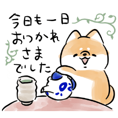 Shiba Inu Dog <Consideration>