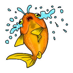 金魚！
