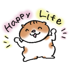 Happy life cat 2