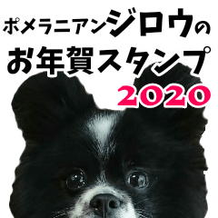 Pomeranian Jiro New Year Sticker 2020