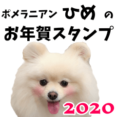 Pomeranian Hime New Year Sticker 2020