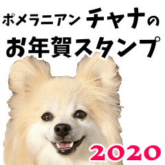 Pomeranian Chana New Year Sticker 2020