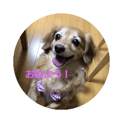 Chie_20191130185900