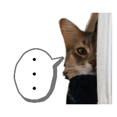 yukari_20191129201941