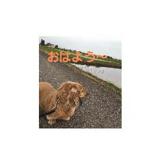 tomomi_20191126214928