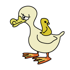 Rii's duck