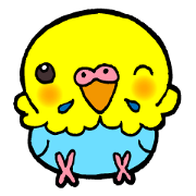 Kawainko (budgerigars)