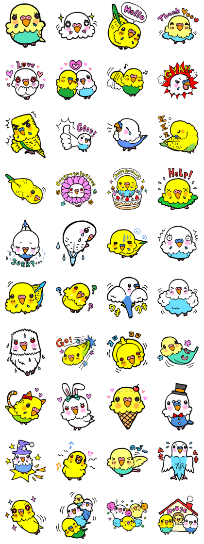 Kawainko (budgerigars)