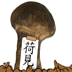 松茸研究家荷見さんのマツタケ