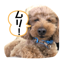 chiro_20191201005333