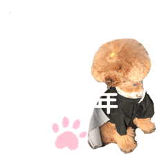 HANA_20191201034407