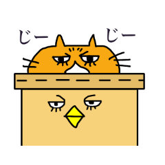 plainpaperbag & cat