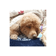 hiroki_20191201101941