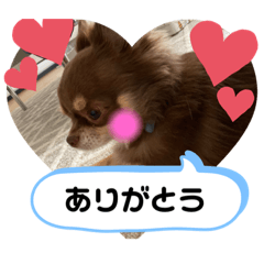 aoi_20191129041444