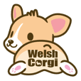 ウェルシュ・コーギー／welsh corgi