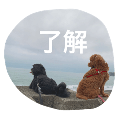 Yuto_20191129004158