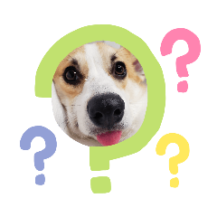 miyuu_20191201121806