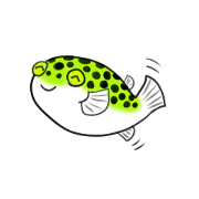 Green spotted puffer "TAMA"