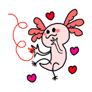Mexico Salamander Love