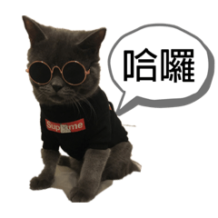 小頑皮DONDON