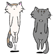 Ame & Mihne