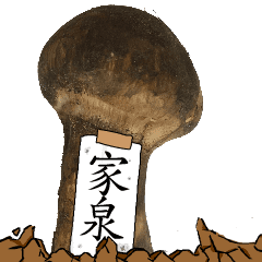 松茸研究家家泉さんのマツタケ